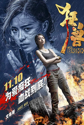 Poster 13 de Filme Limite da Honra (2017)