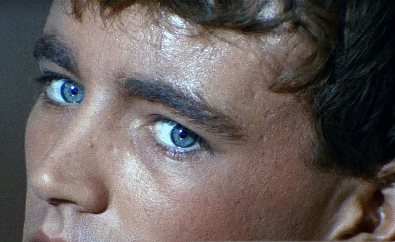 Robert Walker Jr. - Foto 1