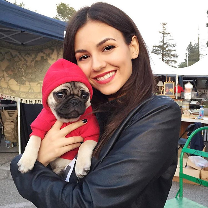 Victoria Justice - Foto 11
