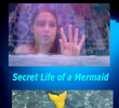 Secret Life of a Mermaid Primeira temporada