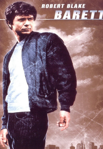 Baretta (3ª Temporada) (Baretta (Season 3))