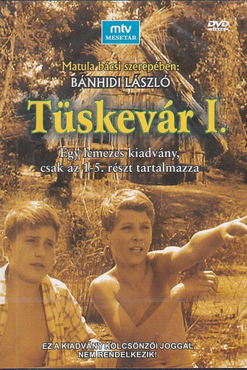  de Filme Tüskevár (1967)