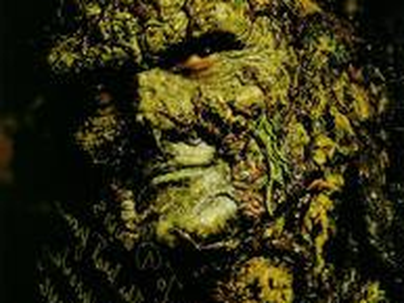 Foto 1 de Monstro do Pântano (1ª Temporada)