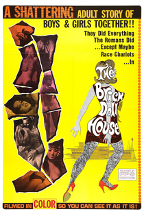 The Brick Dollhouse - Poster / Capa / Cartaz - Oficial 1