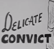 Delicate Convict