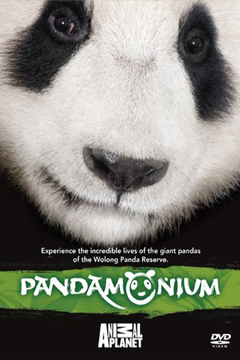 Poster de Franquia Pandamonium (2008) (None)