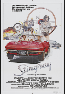 Perseguição Perigosa (Stingray)