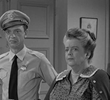 Aunt Bee, the Crusader