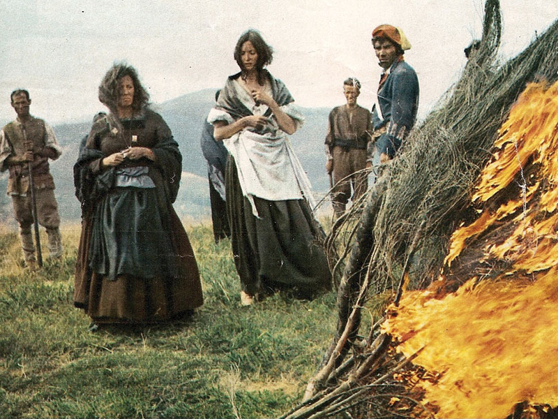 Foto 1 de Flor de Santidad 