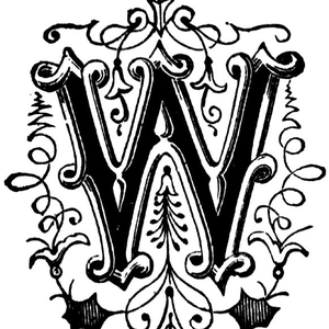 Foto de perfil de Wagner