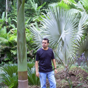 Foto de perfil de Paulo Ramos