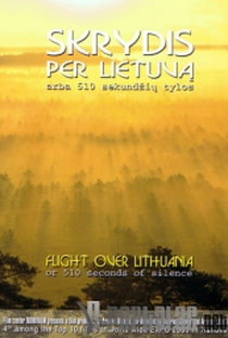 Voo Pela Lituânia - Ou 510 segundos de silêncio - Poster / Capa / Cartaz - Oficial 1