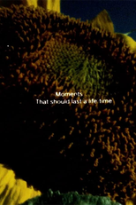 Textos Iluminados (Illuminated Texts)