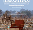 Mauchos