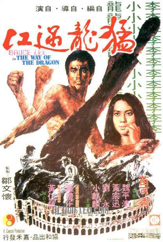 Poster 3 de Filme O Vôo do Dragão (1972)