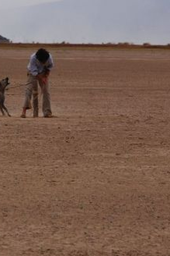 Poster de Curta Tierra y pan (2008)