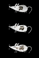 Trauma Chameleon (Trauma Chameleon)