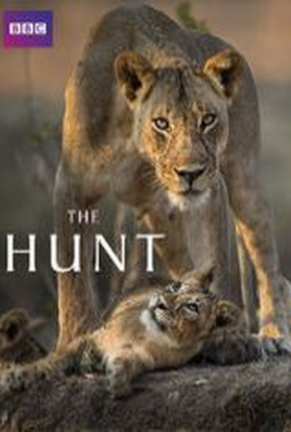 Poster 3 de Série The Hunt (2015)