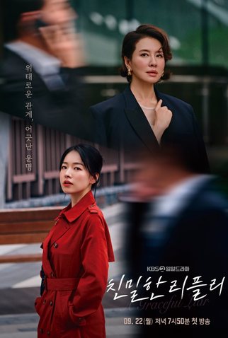Poster 2 de Série A Graceful Liar (2025)