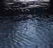 Playing With Water I
