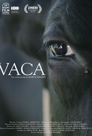 Poster 1 de Curta VACA (2018)