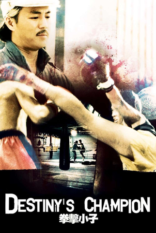Poster 2 de Filme Destiny's Champion (1983)