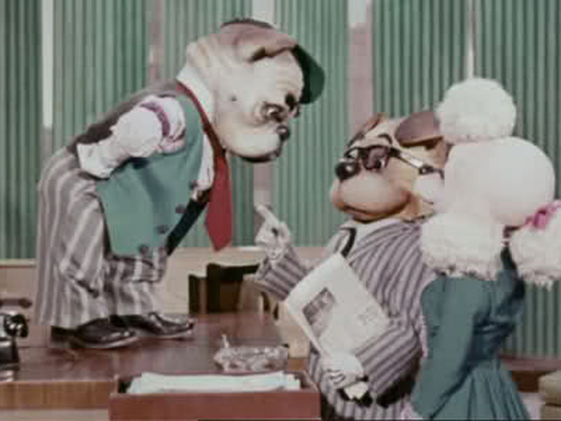 Foto 1 de As Aventuras do Supercão