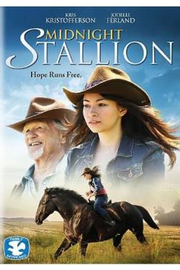 Poster de Filme Midnight Stallion (2014)