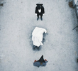 Aflevering 10