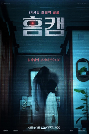 Poster de Filme Homecam (2025)