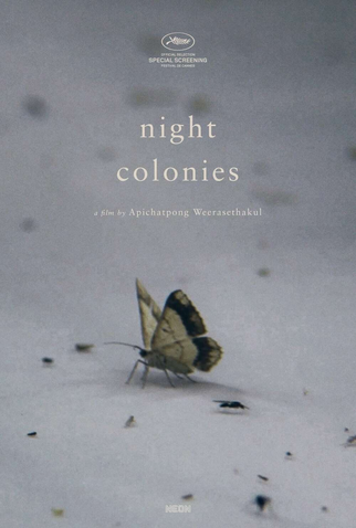 Poster 1 de Curta Night Colonies (2021)