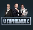 Aprendiz Empreendedor