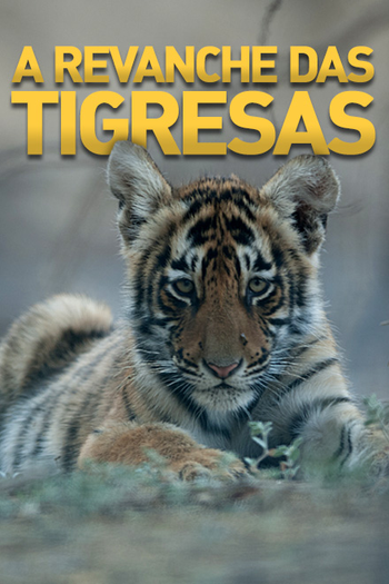 Poster de Série A Revanche das Tigresas (2014)
