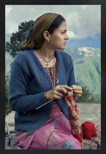 Fogo nas Montanhas (Fire in the Mountains)