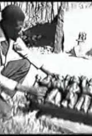 Poster 3 de Curta Embu (1968)