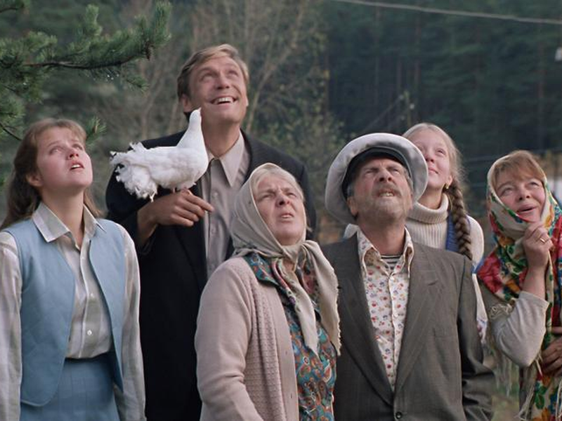 Foto 1 de Amor e Pombos