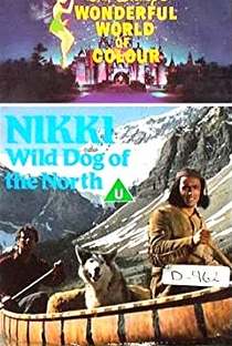 Nikki - O Cão Selvagem do Norte - Poster / Capa / Cartaz - Oficial 3