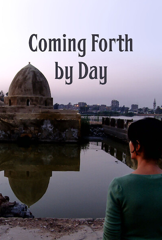 Poster 3 de Filme Saída para o Sol (2012)