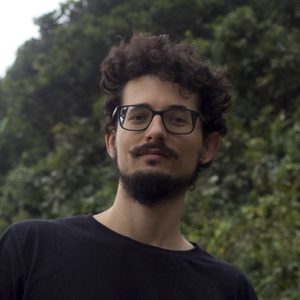 Foto de perfil de Diego Piccin