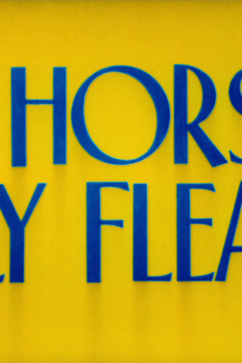 Poster de Curta Rebelião dos Índios (1947)