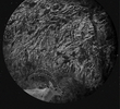 Meteorlar