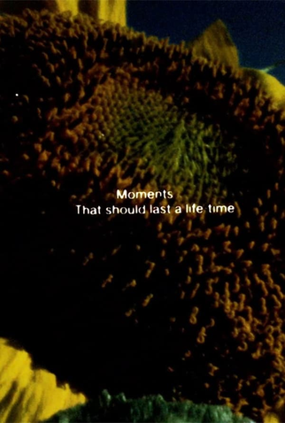 Poster 1 de Filme Textos Iluminados (1982)