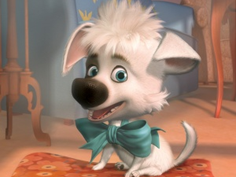 Foto 6 de Cãestronautas