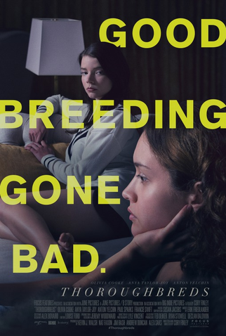 Poster 4 de Filme Puro-Sangue (2017)