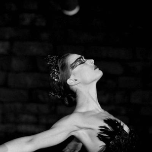 Foto de perfil de Andreia Al.