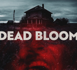 Dead Bloom