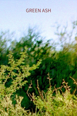 Ceniza Verde (Ceniza Verde)