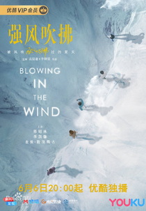 Blowing in the Wind (强风吹拂)