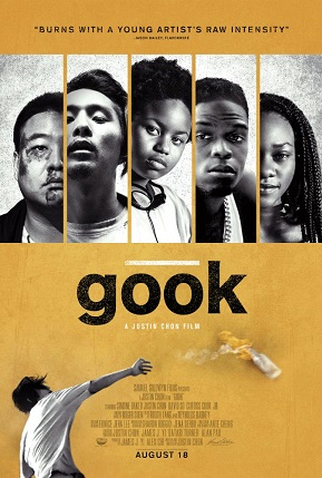 Poster 1 de Filme Gook (2017)