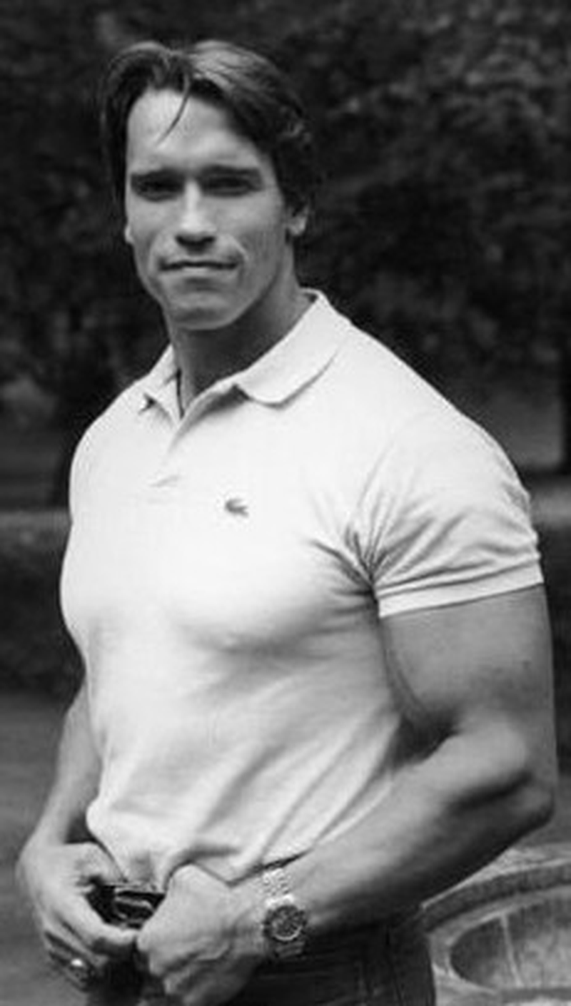 Arnold Schwarzenegger - Foto 12
